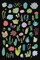 Succulent Chart I Poster Print by Wild Apple Portfolio - Item # VARPDX18827
